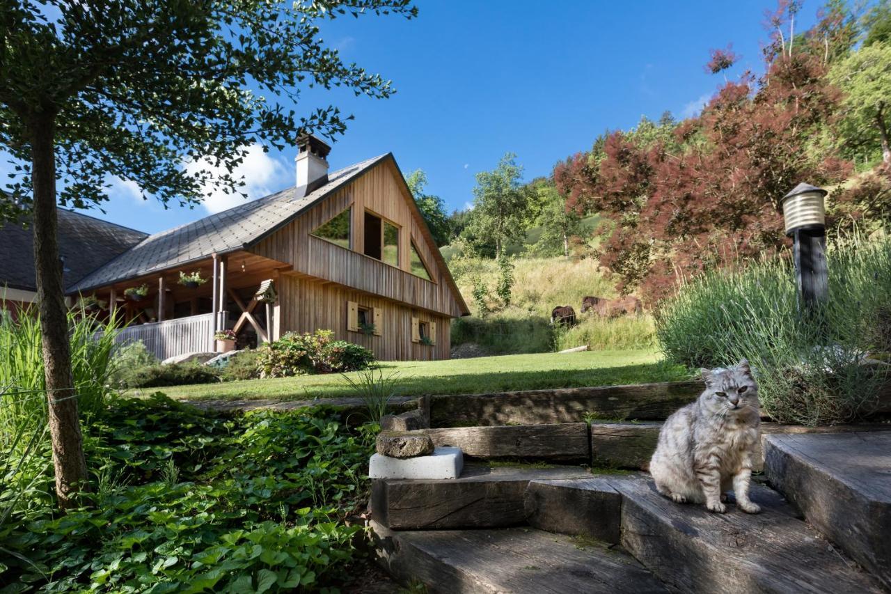 Homestead Farm Tesnak Gorenja Vas  Exterior photo